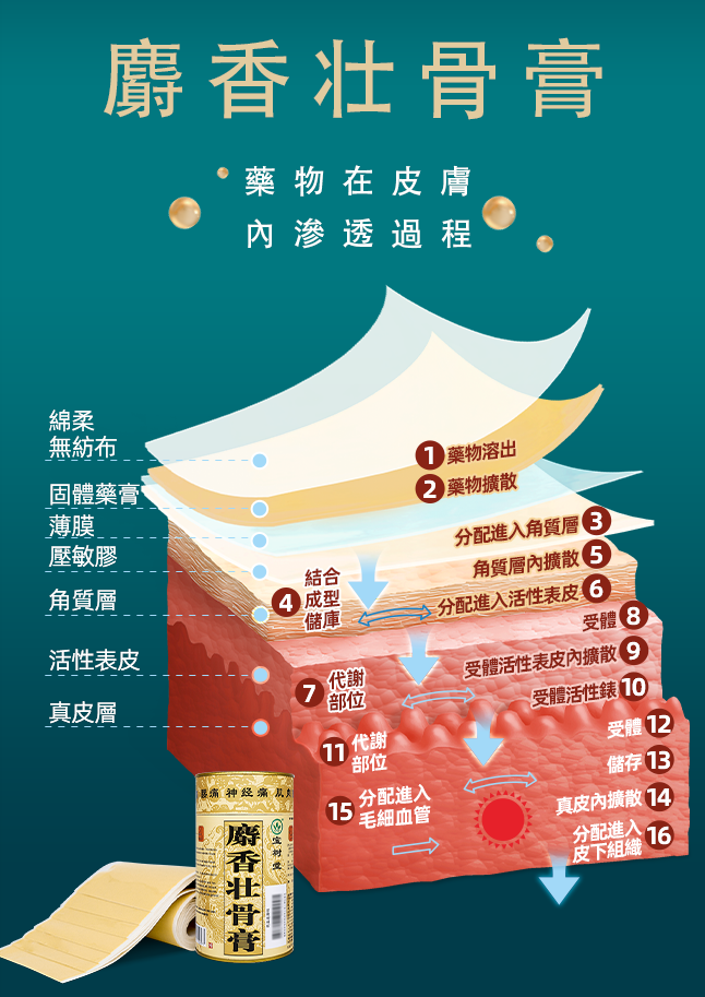 麝香壮骨膏【6罐/8罐】優惠套装